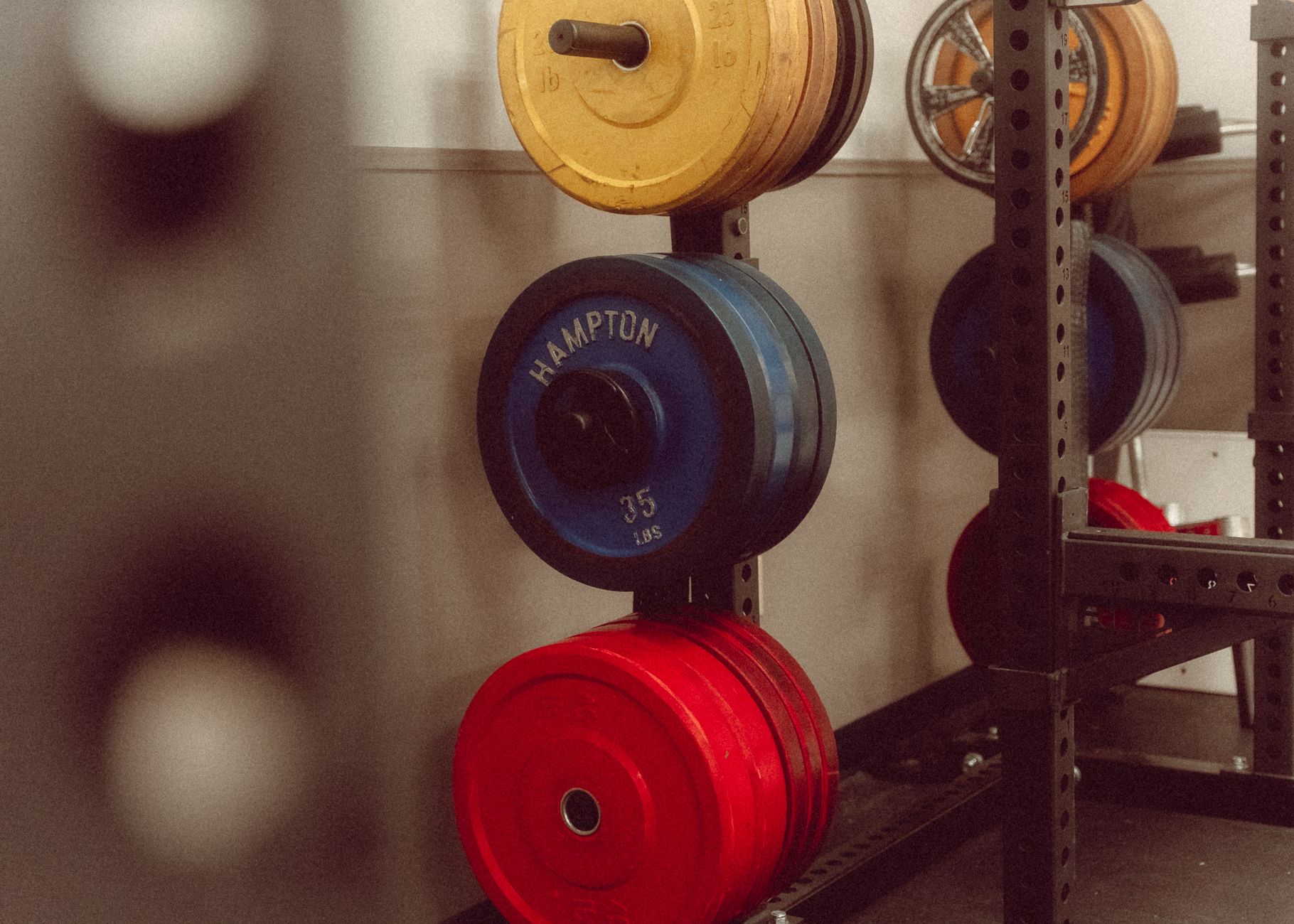 A vibrant array of weight plates in a gym setting, perfect for fitness-focused projects.