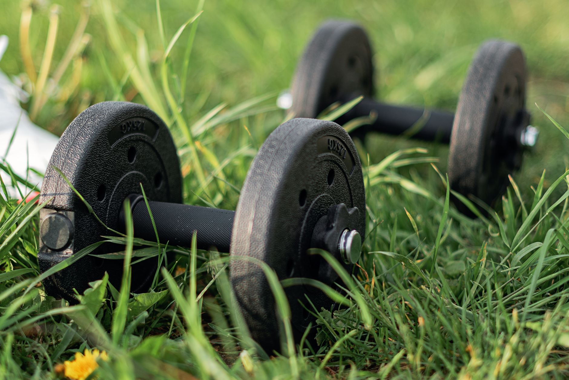 Pair of black dumbbells on lush green grass, ideal for outdoor fitness imagery.