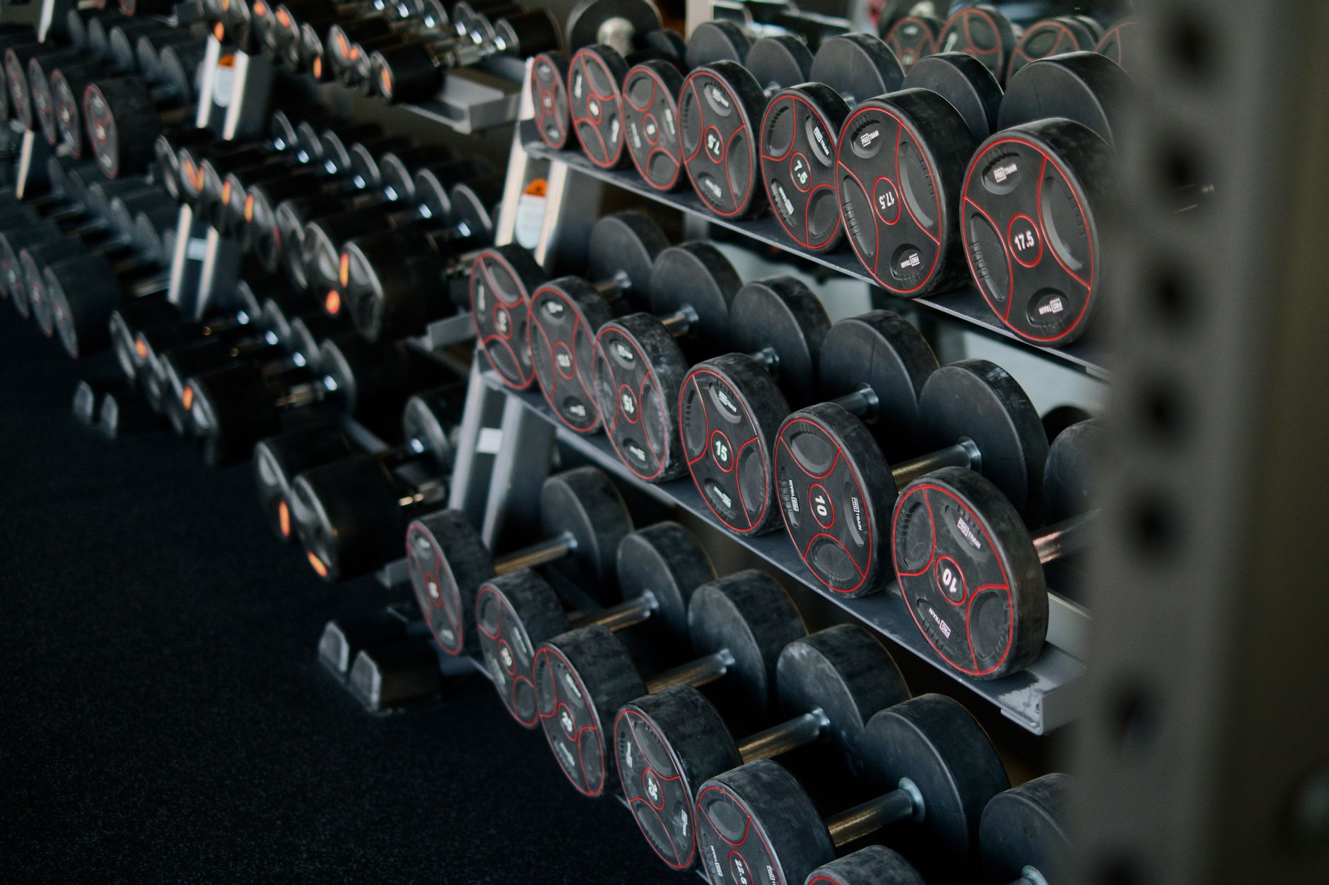 A neatly arranged set of dumbbells on a rack in a modern gym, ideal for fitness enthusiasts.