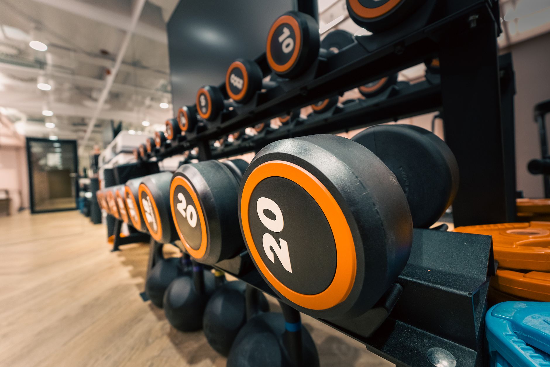 A row of heavy dumbbells in a contemporary gym setting, perfect for strength training.