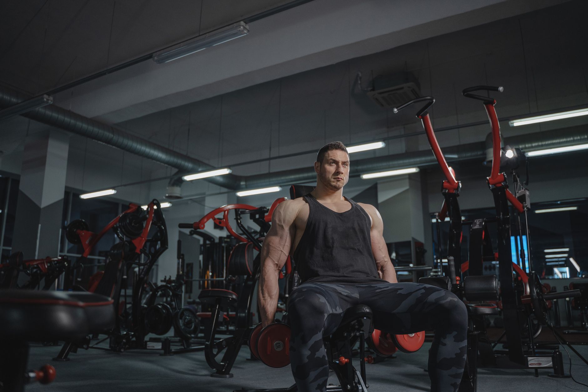 Strong muscular man lifting dumbbells in a gym setting, showcasing power and fitness.