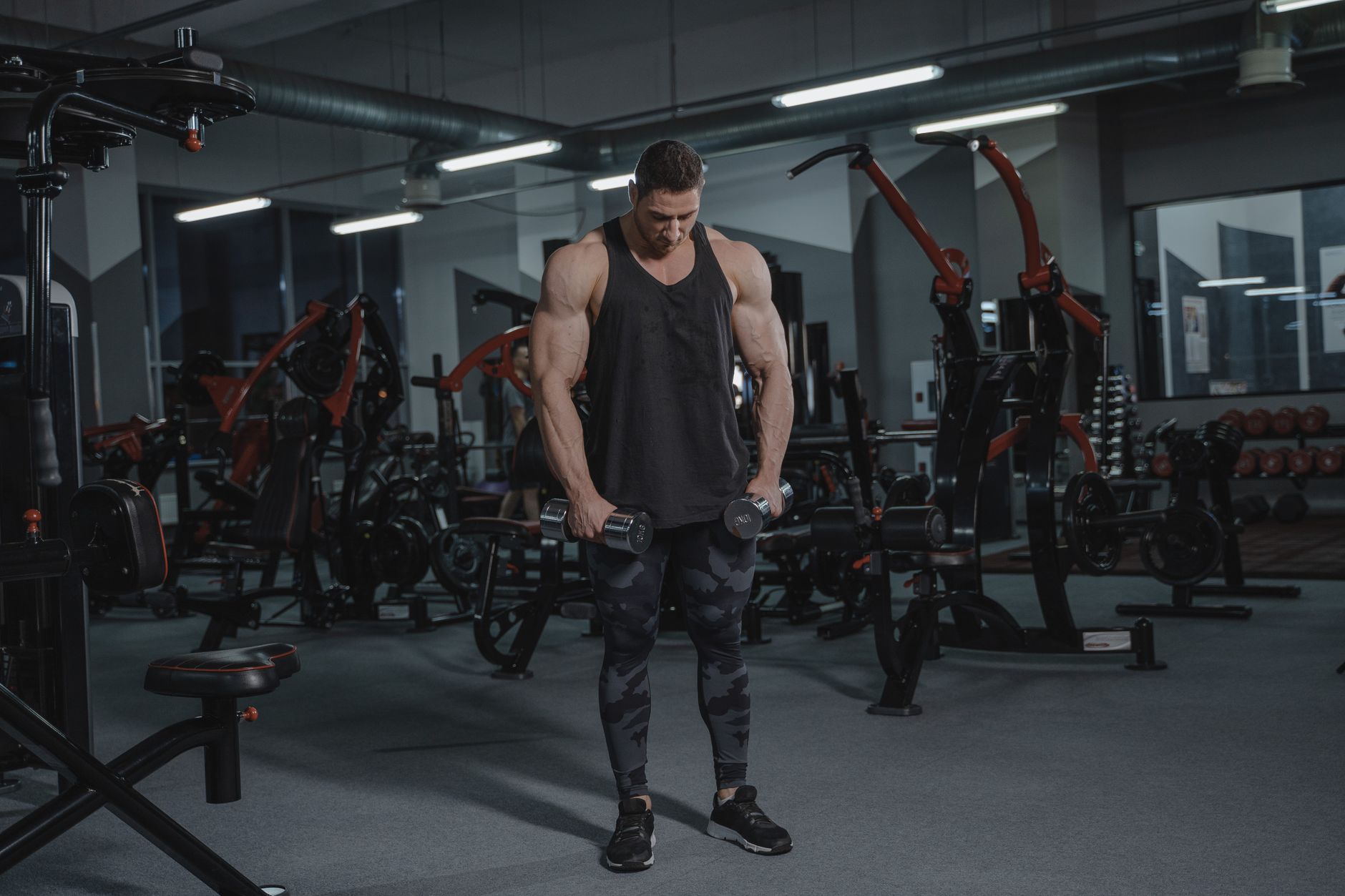 Muscular man lifting dumbbells in a modern gym setting, demonstrating strength and fitness.