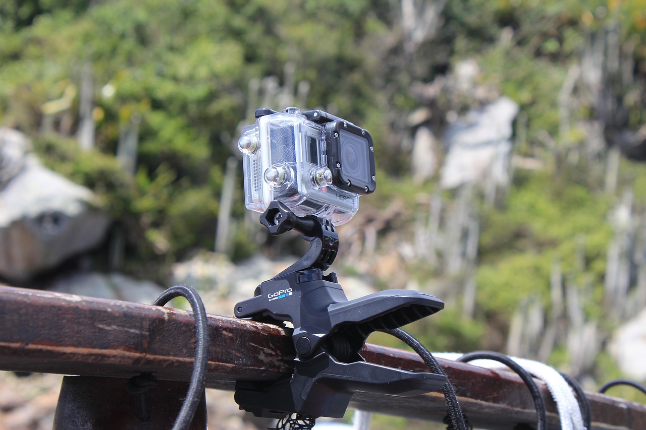 nature, wood, outdoors, tree, gopro, arraial do cabo, rj rio de janeiro, gopro, gopro, gopro, gopro, gopro