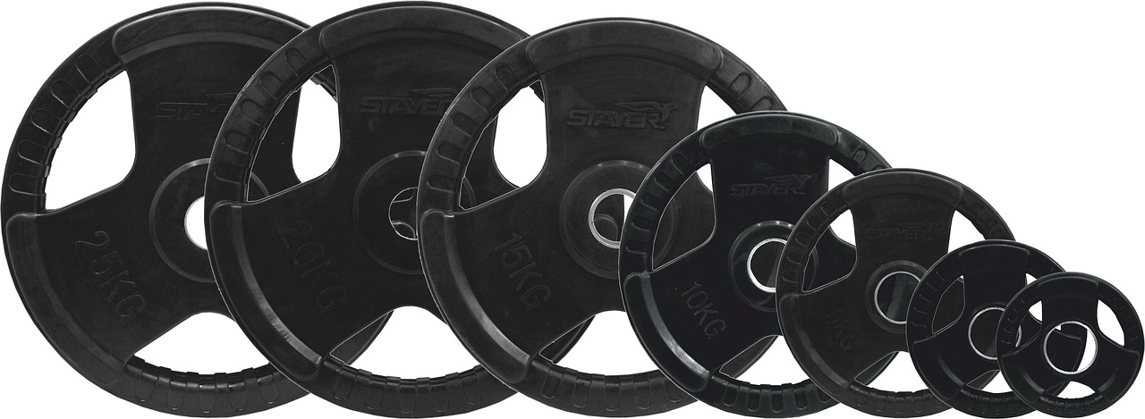 gym, sports equipment, plates for exercise, load olympic, gym, gym, gym, gym, gym