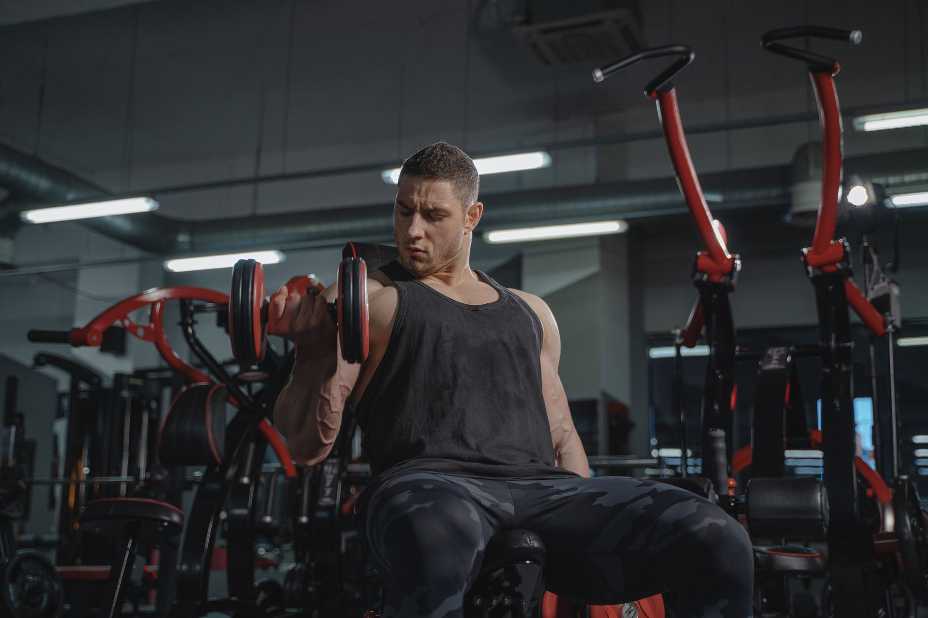 Athletic man performing dumbbell curls while sitting in a modern gym.
