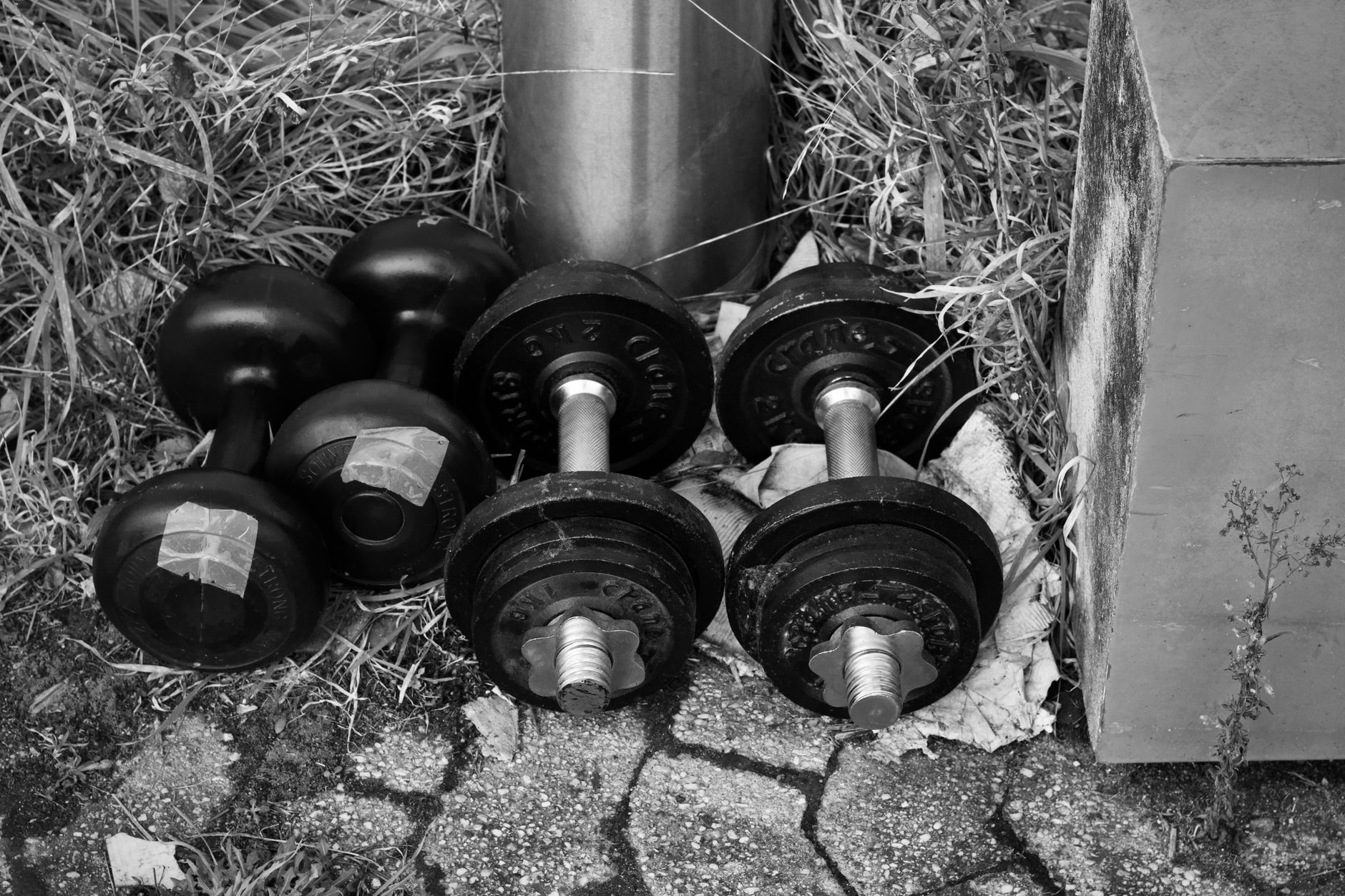 Black weights and dumbbells resting on grass in an outdoor setting.