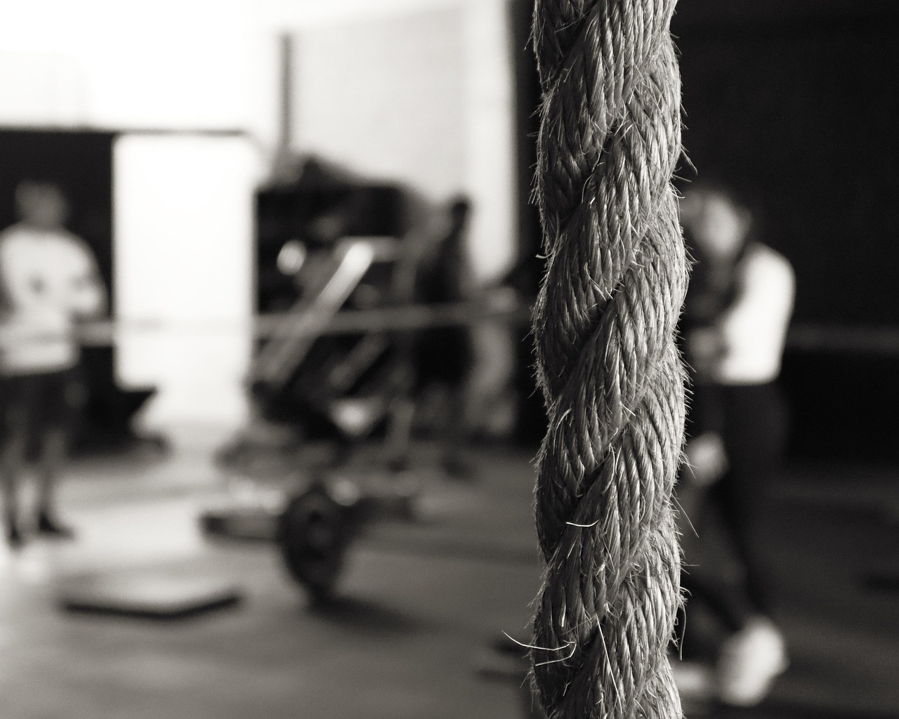 Equipamentos CrossFit montados em box moderno