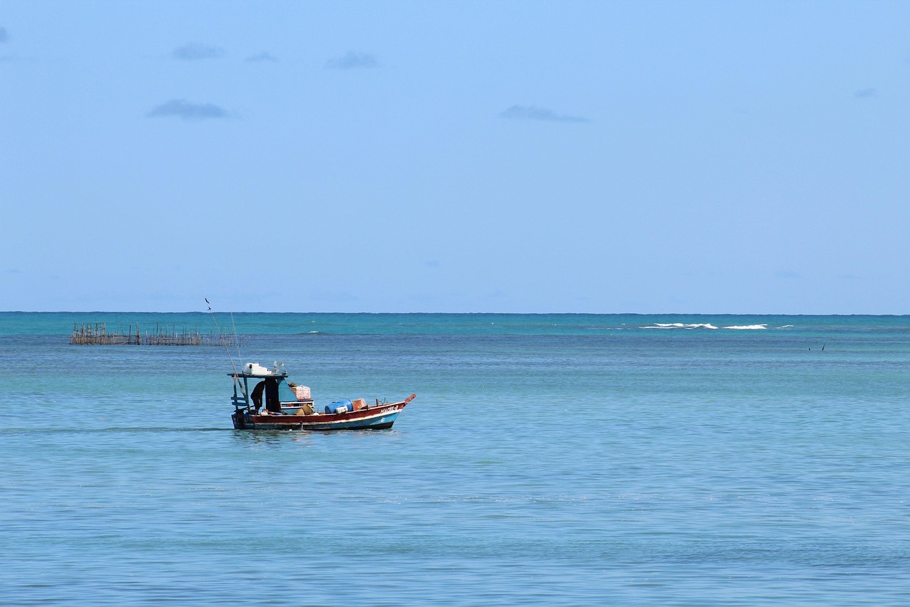 sea, fishery, nature, north east, brazil, ocean, maceio, alagoas