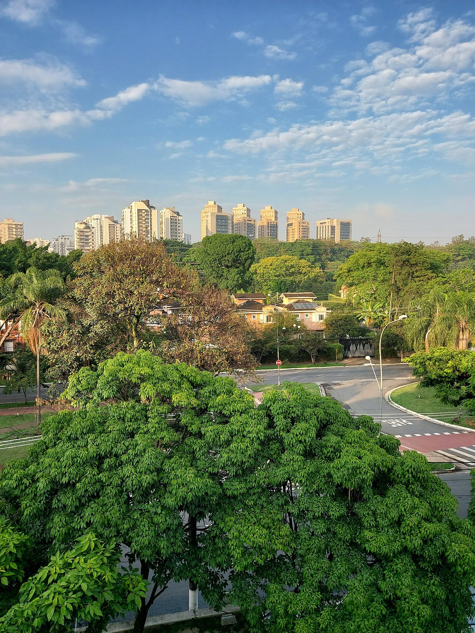 trees, park, buildings, cityscape, skyline, clouds, nature, sky, streets, houses, residential, residential area, sao paulo