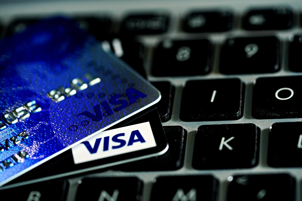 visa, visa card, payment, online, e-commerce, visa, visa, visa, visa, visa, visa card, visa card, visa card, visa card