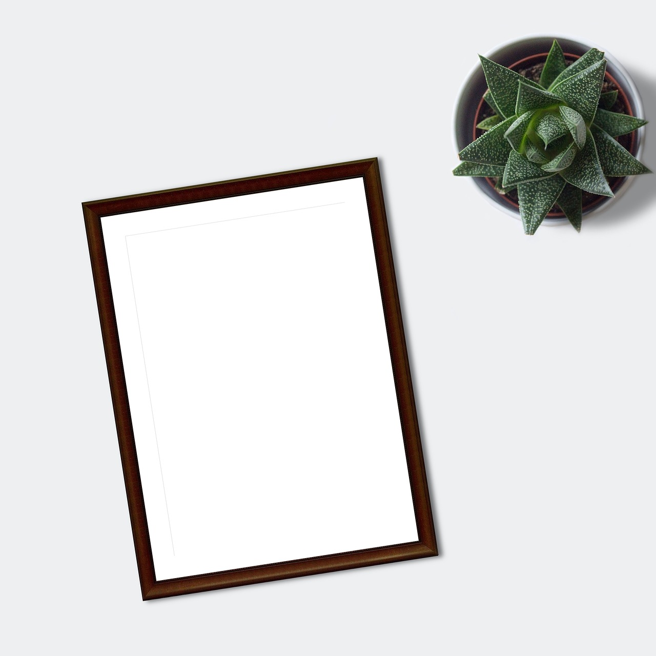 frame, mockup, flatlay, plant, ecommerce, blank, paper, marketing, business, succulent, sheet, desk, table, white sheet, portfolio, shop, drawing, painting, layout, nature, digital art, digital, poster, picture, instagram, blog
