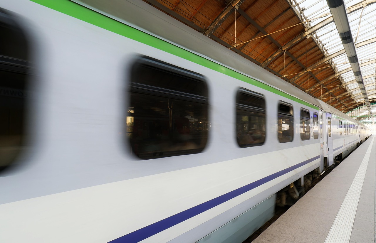 train, windows, platform, speed, circulation, transport, public transport, wagon, wide, wide view, snapshot, station, train station, roof