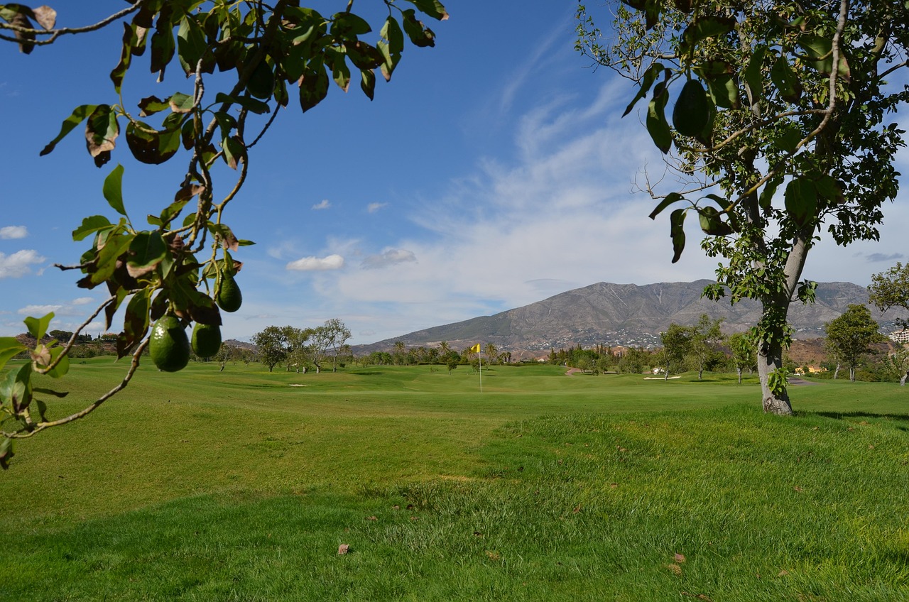 golf, avocado, spain, santana, golf, golf, avocado, avocado, avocado, avocado, avocado