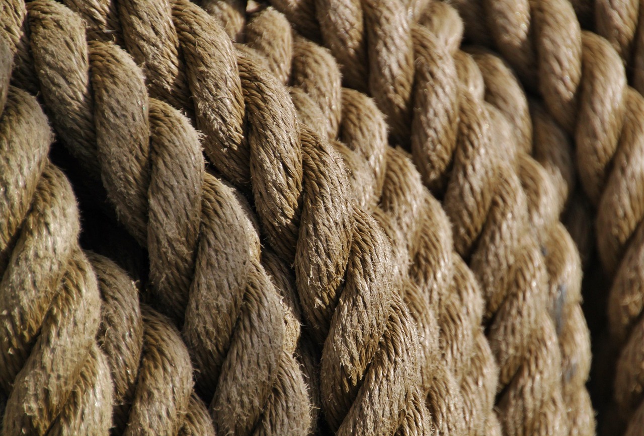 rope, ropes, node, braided, close up, cordage, dew, tross, fastening, twisted rope, strand, thaw, knitting, accessories, ship accessories, detail shot, maritime, technology, ship traffic jam, structures, template, rotated, still life, rope, rope, rope, rope, rope