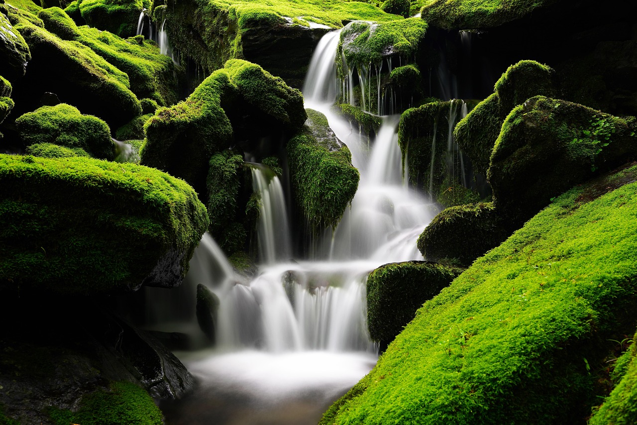 waterfall, moss, korea, mountain, valley, green, forest, tree, clean, cool, brook, rock, environment, scenery, nature, water, landscape, waterfall, waterfall, waterfall, waterfall, waterfall