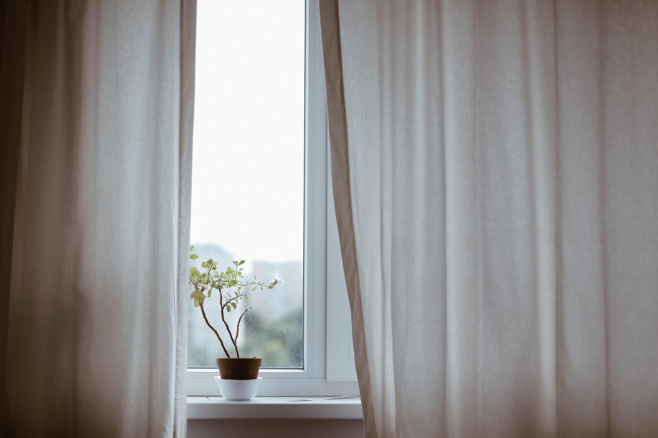 curtains, decoration, indoors, nature, plant, potted plant, window, minimalist, minimalistic, interior decoration, indoor plant