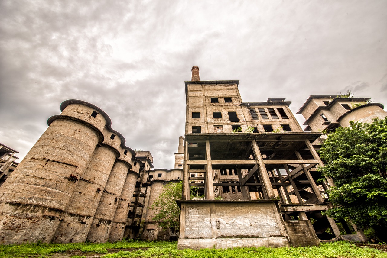 plant, ruins, wide angle, nature, dongguan