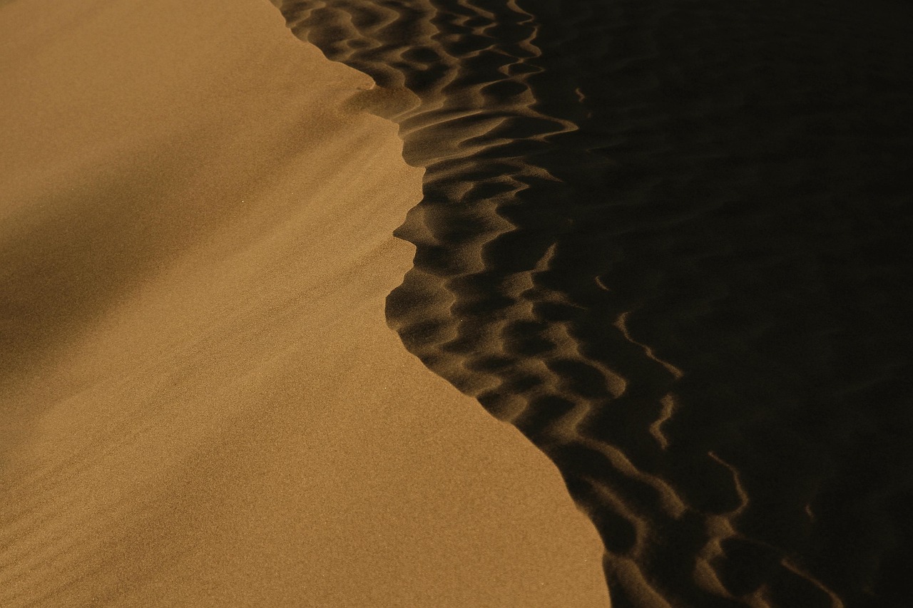 desert, texture, pattern, shadow, minimal, nature dark, landscape, grass, sand, nature, black and white