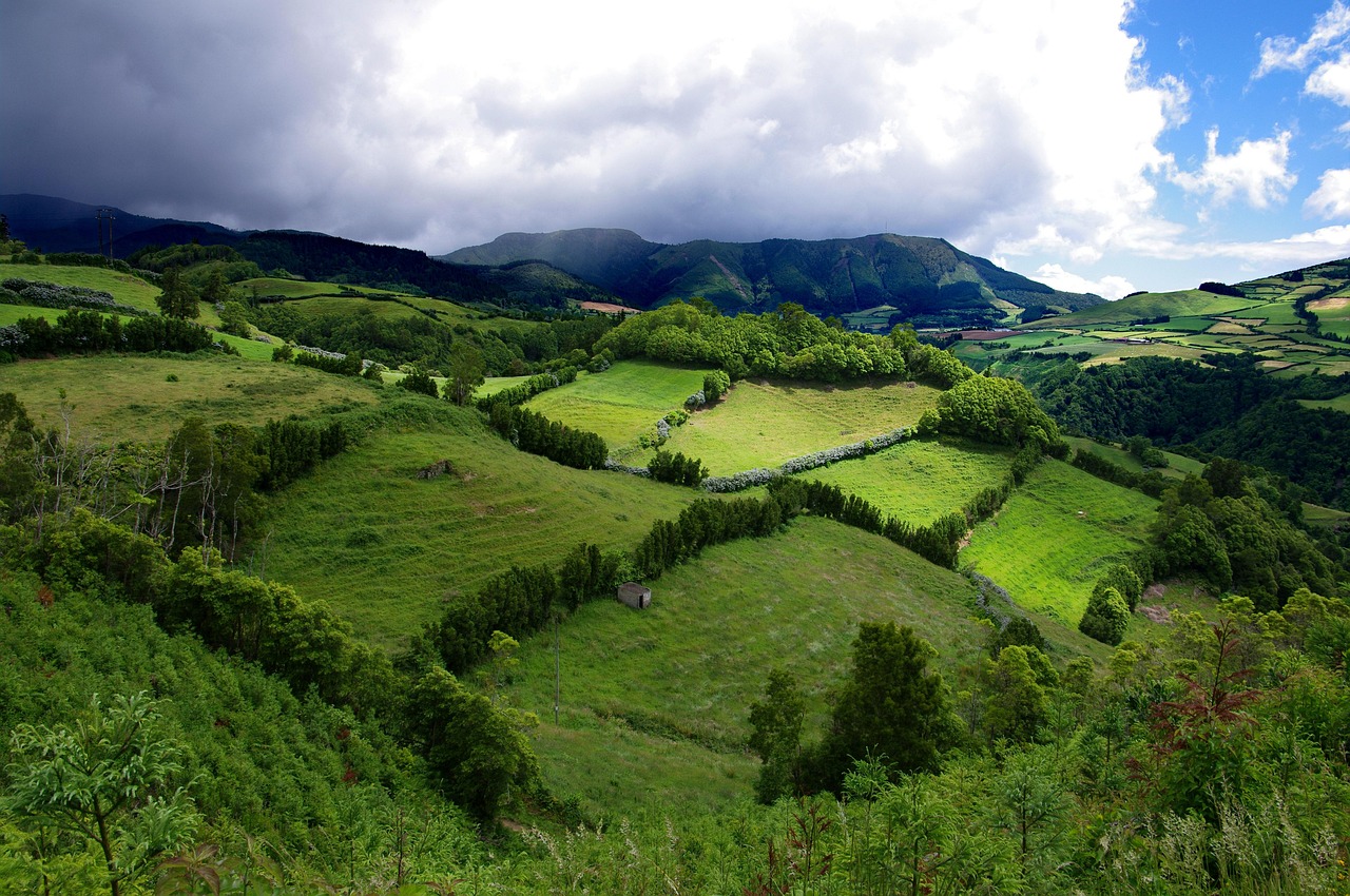 azores, cloud, grass, green, hedge, nature, hill, hills, island, landscape, sao miguel, green island