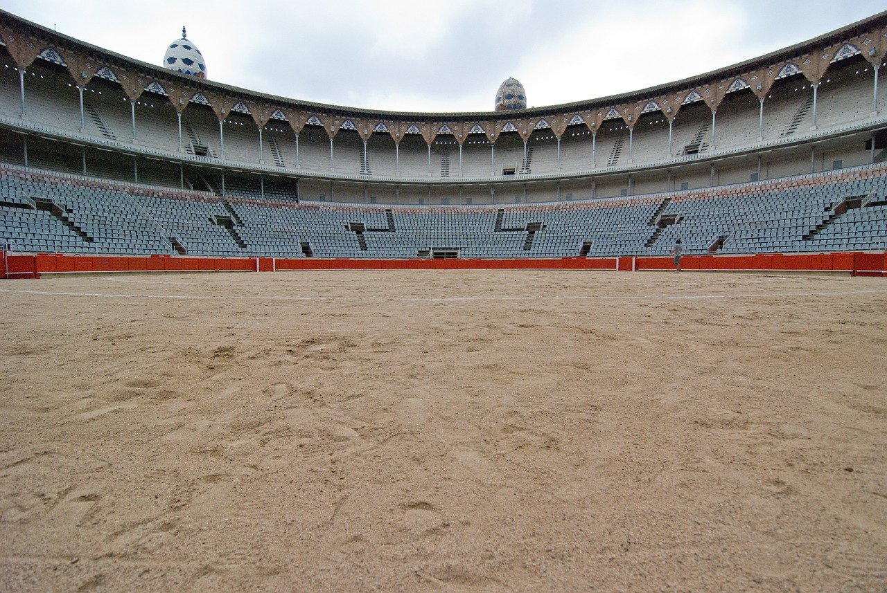 bullfight, arena, bullfighting, spectacle, fight, folklore, architecture, building, perspective, wide angle, coliseum