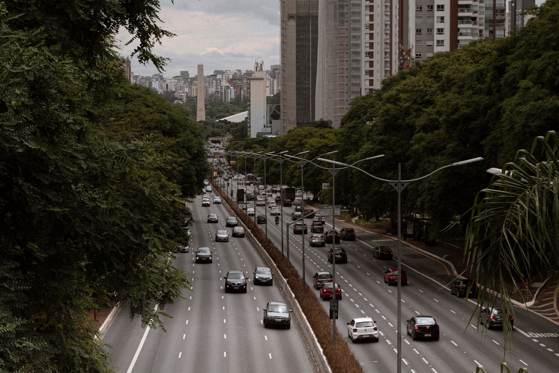 View of a bustling highway surrounded by lush greenery and modern architecture in São Paulo, Brazil.