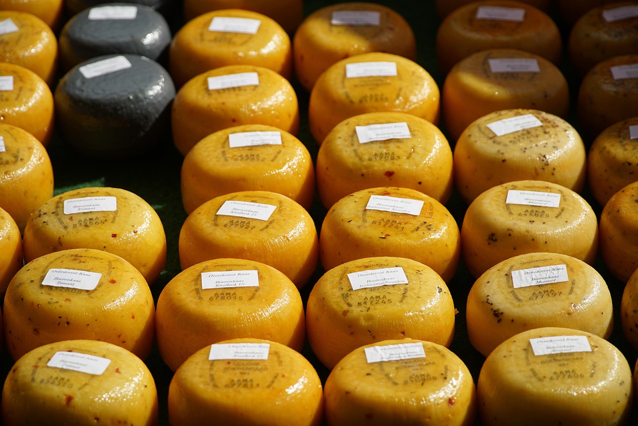 cheese, dutch cheese, market, food, cheese, cheese, cheese, cheese, cheese