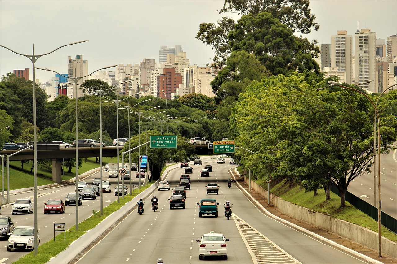 são paulo, city, urban, buildings, car, cityscape, highway, car wallpapers, traffic, street, busy, asphalt, intersection, nature, district, trees, architecture, landscape, panorama