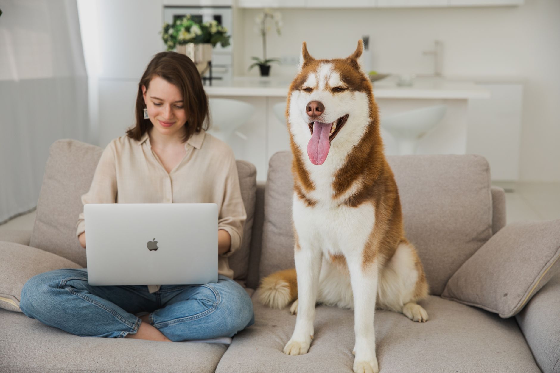 A woman working on her laptop while her Siberian Husky sits nearby on the couch in a modern living room.