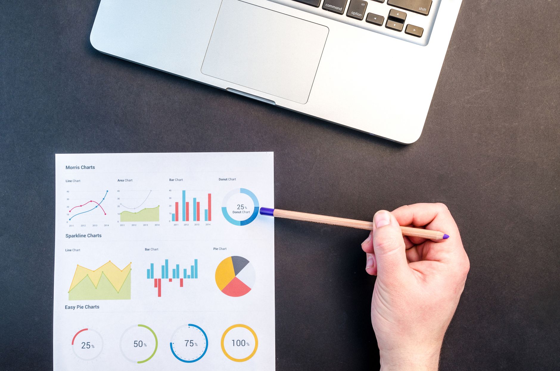 Dashboard profissional da plataforma Mestres SEO em uso