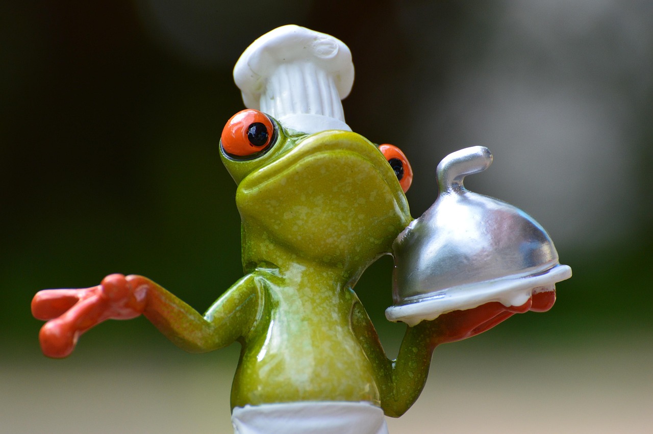 frog, cook, meal, kitchen, gourmet, food, preparation, fun, frogs, cute, frog, frog, frog, kitchen, kitchen, kitchen, kitchen, kitchen, frogs