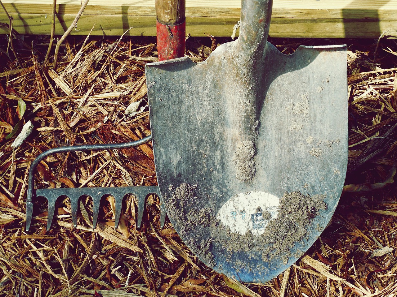 shovel, rake, dirt, farm, nature, garden, hand tools, labor, metal, tools