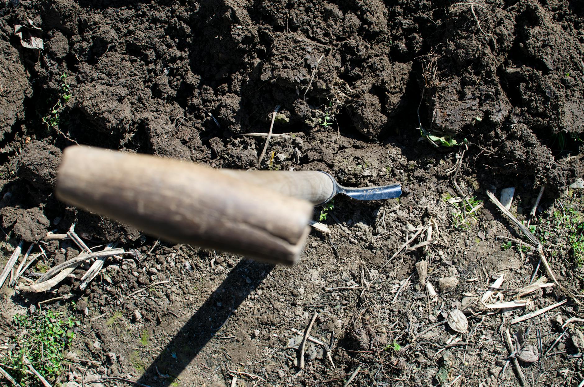 A shovel in freshly turned soil, ideal for gardening or farming themes.