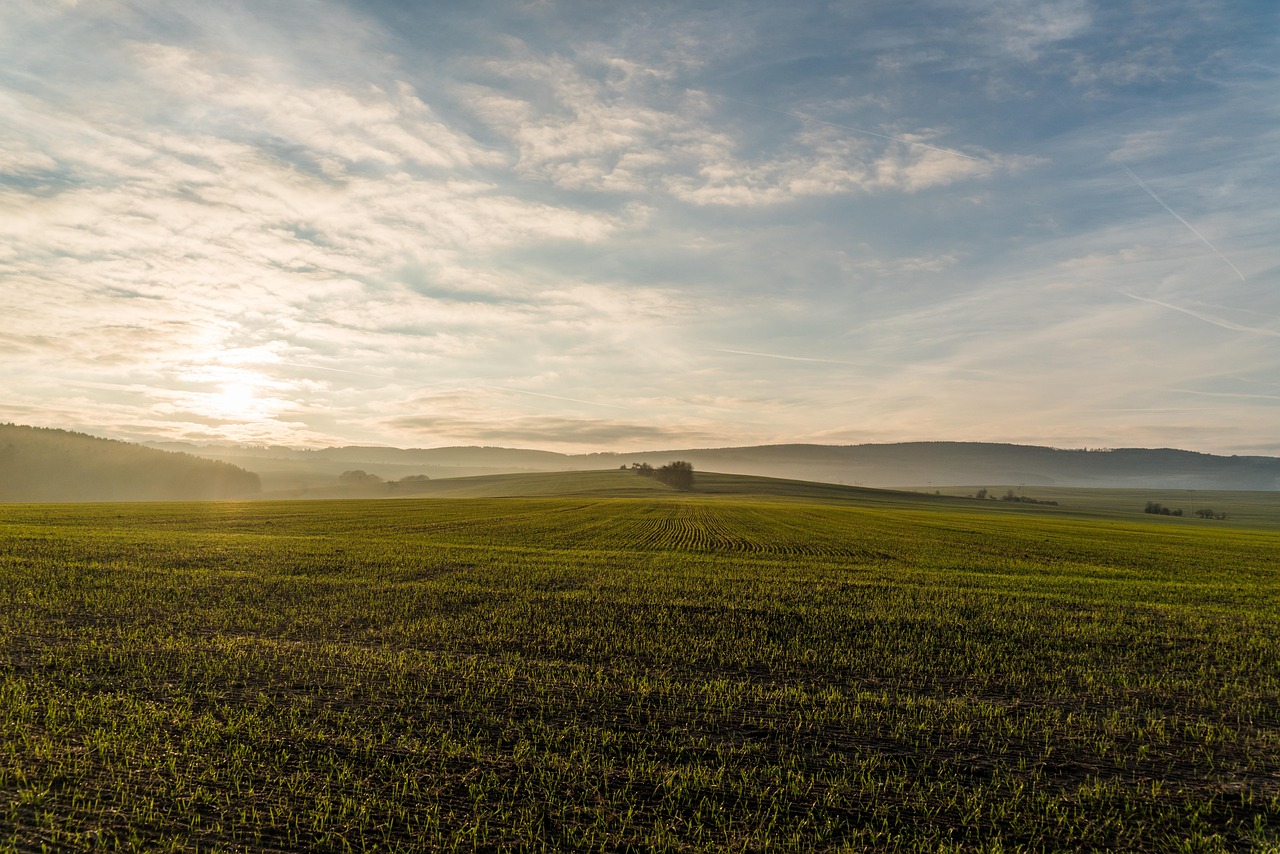 landscape, spacious, field, nature, meadow, sunset, sky, grasslands, farmland, grassy, grass, hills, morning fog, rural, countryside