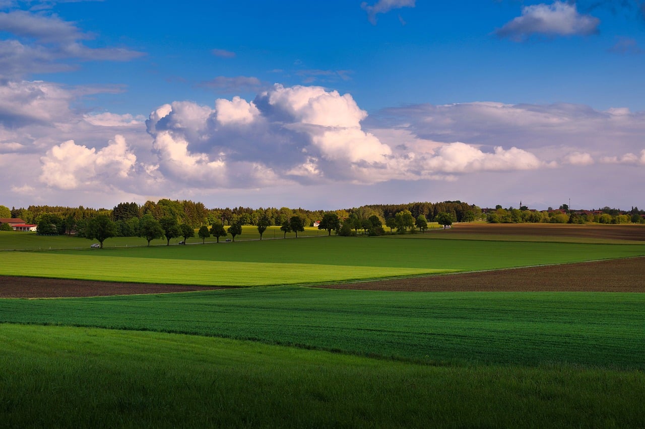 sky, cloud, fields, trees, landscape, nature, summer, spring, agriculture, cumulus, horizon, distance, vibrant colors, afternoon, silhouette, view, evening, rural, ecosystem, audio, visual
