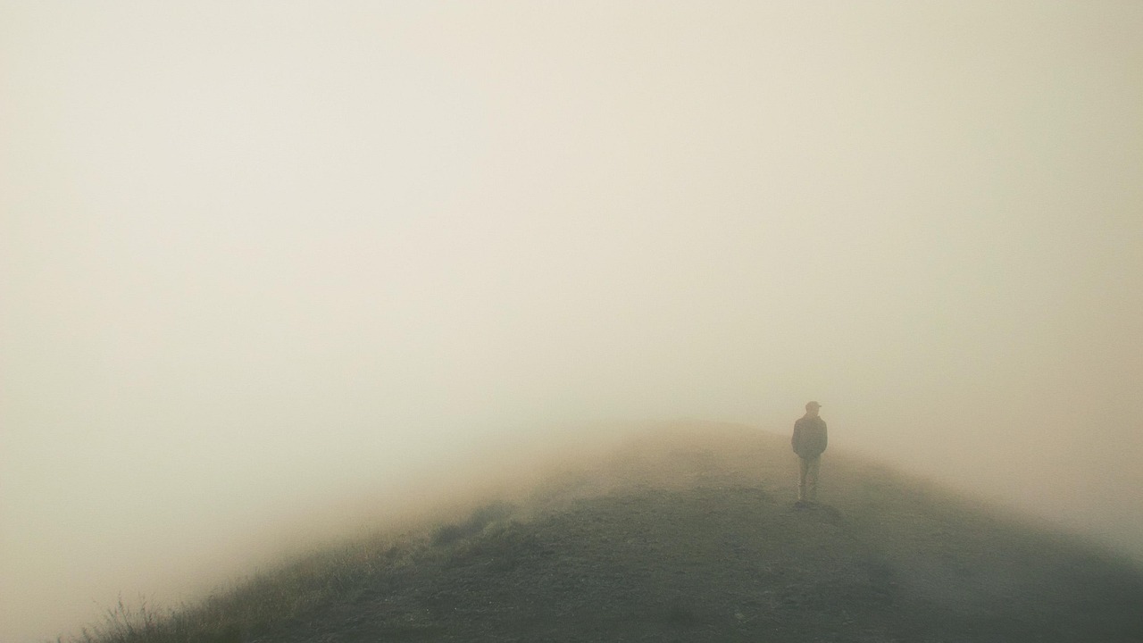 life, beauty, scene, climb, fog, browse, find, find, find, find, find, find