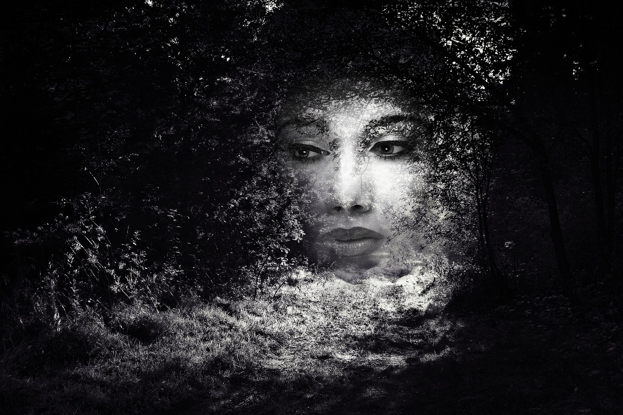 photo, manipulation, editing, manipulation, manipulation, manipulation, manipulation, manipulation, editing
