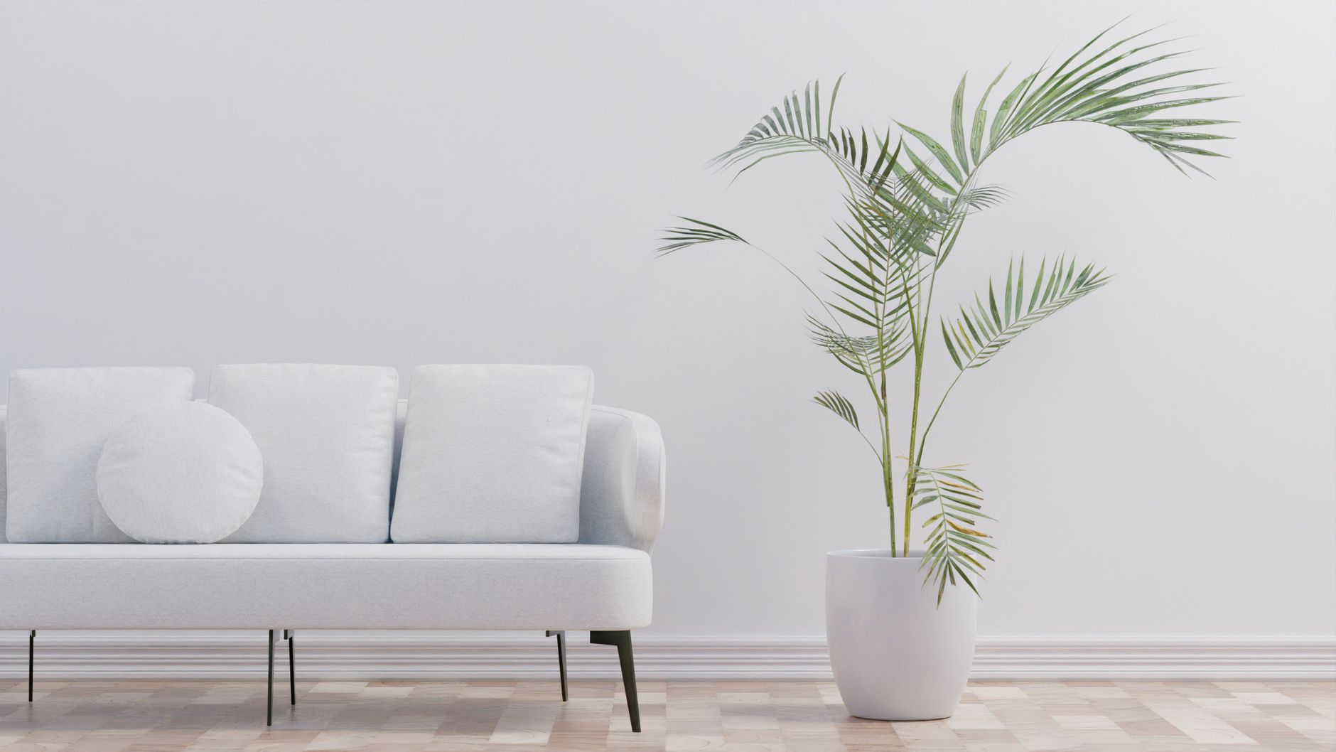 Modern minimalist living room with palm plant and white sofa enhancing comfort.