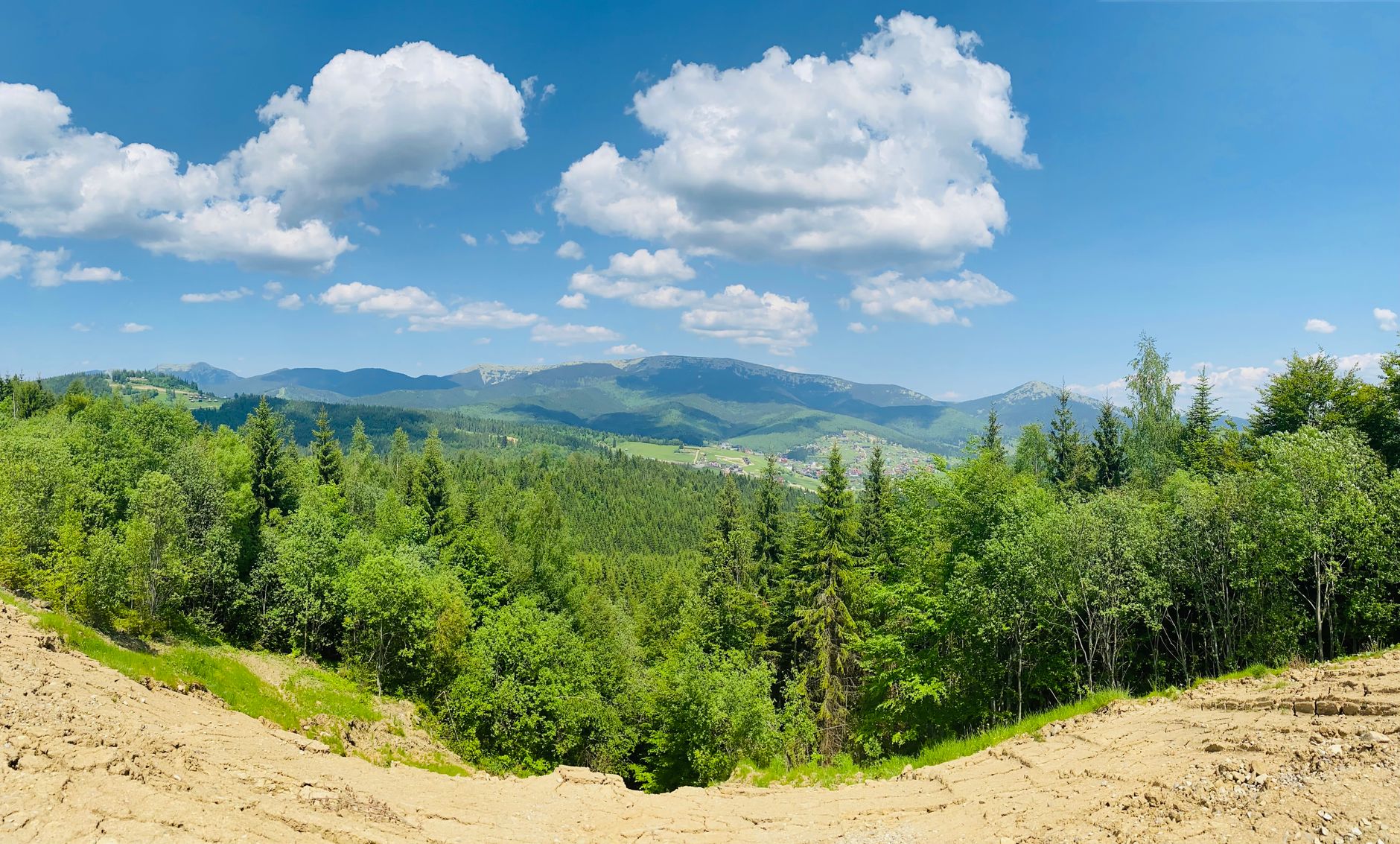 A breathtaking panoramic view of a dense pine forest against a backdrop of majestic mountains under a clear blue sky.