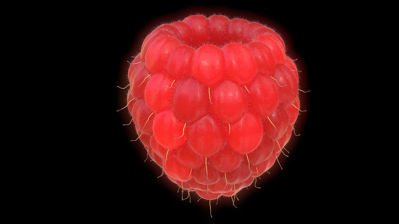 raspberry, berry, fruit, organic, healthy, 3d, blender, raspberry, raspberry, raspberry, raspberry, raspberry