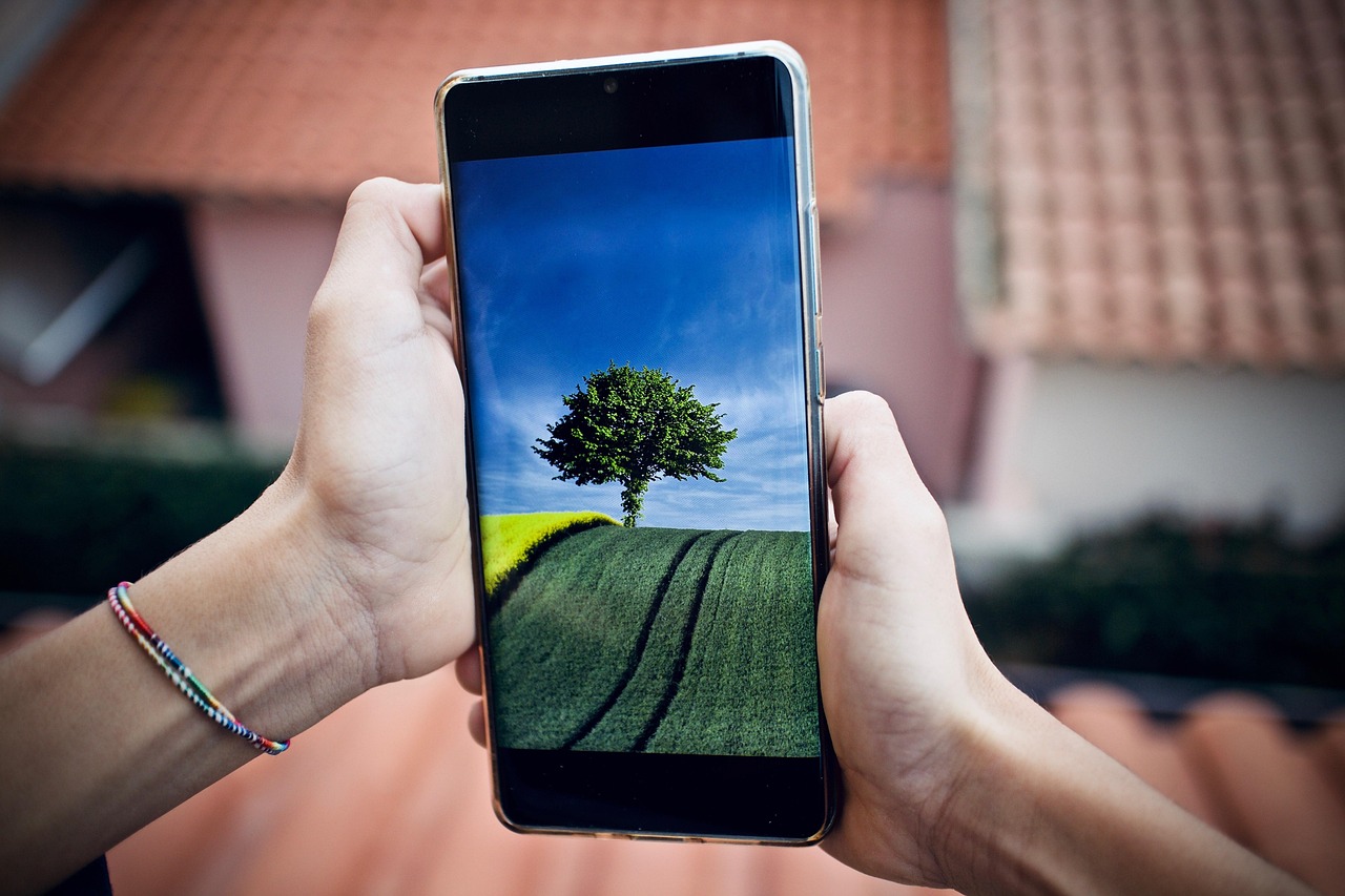 mobile phone, cellphone, nature, phone, communication, technology, smartphone, the internet, message, call, touchscreen, display, device, modern, digital, screen, tree