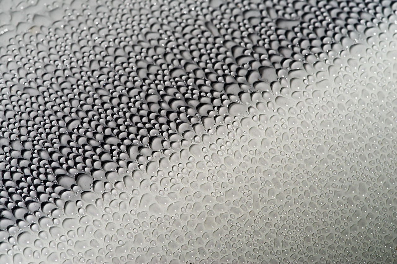 water, droplets, nature, effervescence, car body, wax, sealing, gloss, glaze, polished