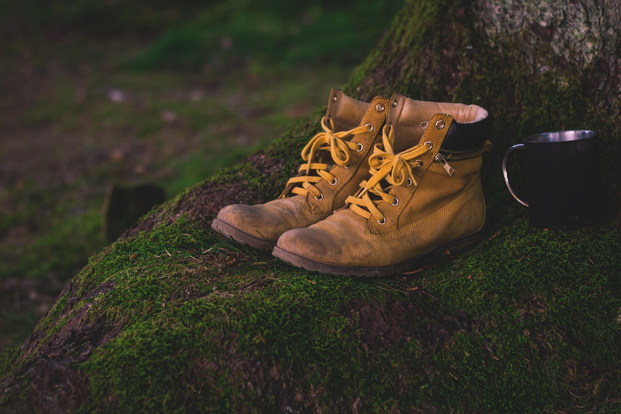 boots, shoes, moss, hiking shoes, worn, used, hiking, old, outdoor, nature, leather