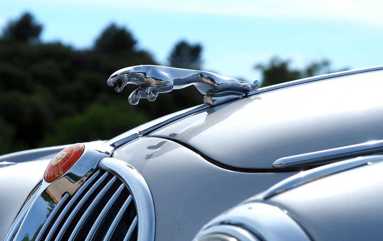 car, car wallpapers, car collection, jaguar, close up