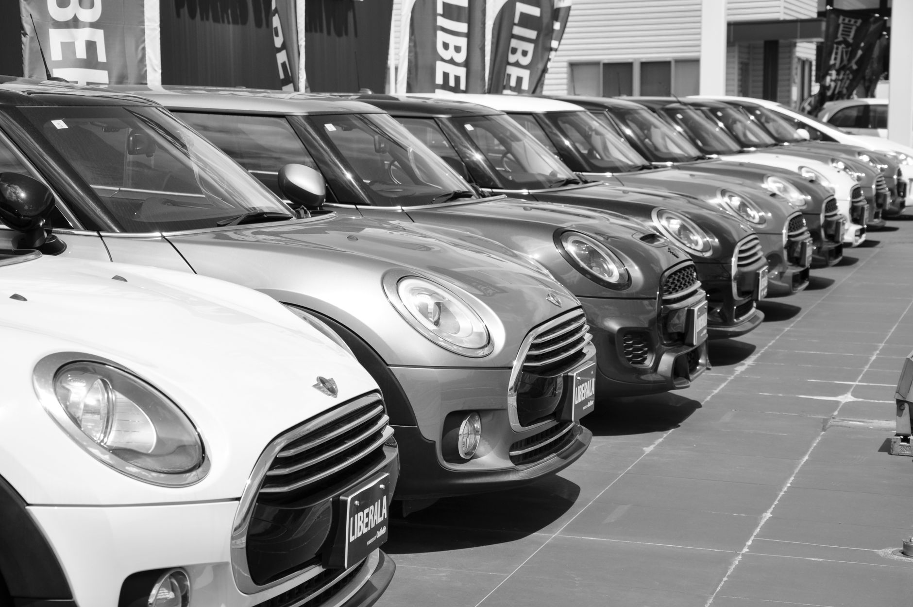 Black and white photo of a row of Mini Cooper cars parked outdoors in a car dealership.