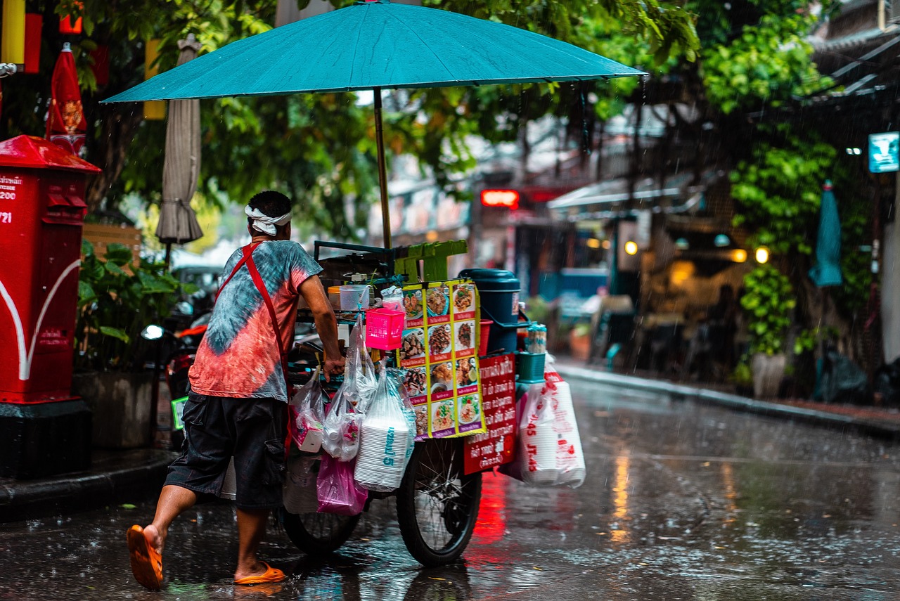 man, cart, street food, culture, rain, umbrella, puddle, weather, wet, nature, city
