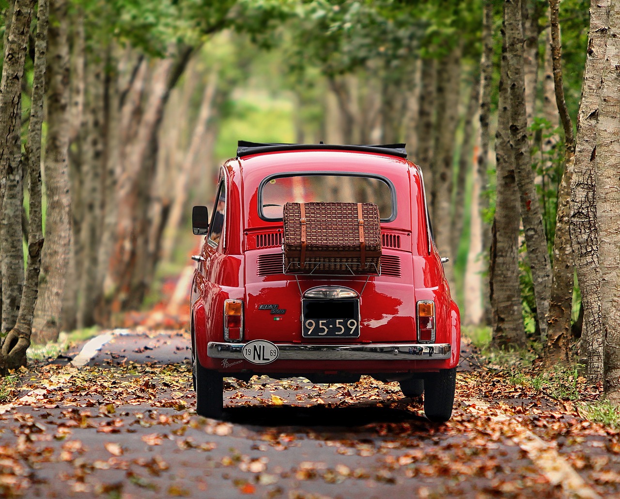 fiat 500, car wallpapers, automobile, trees, nature, antique car, vehicle, classic, italy, nostalgia, car, small car, motor vehicle, avenue, road, path