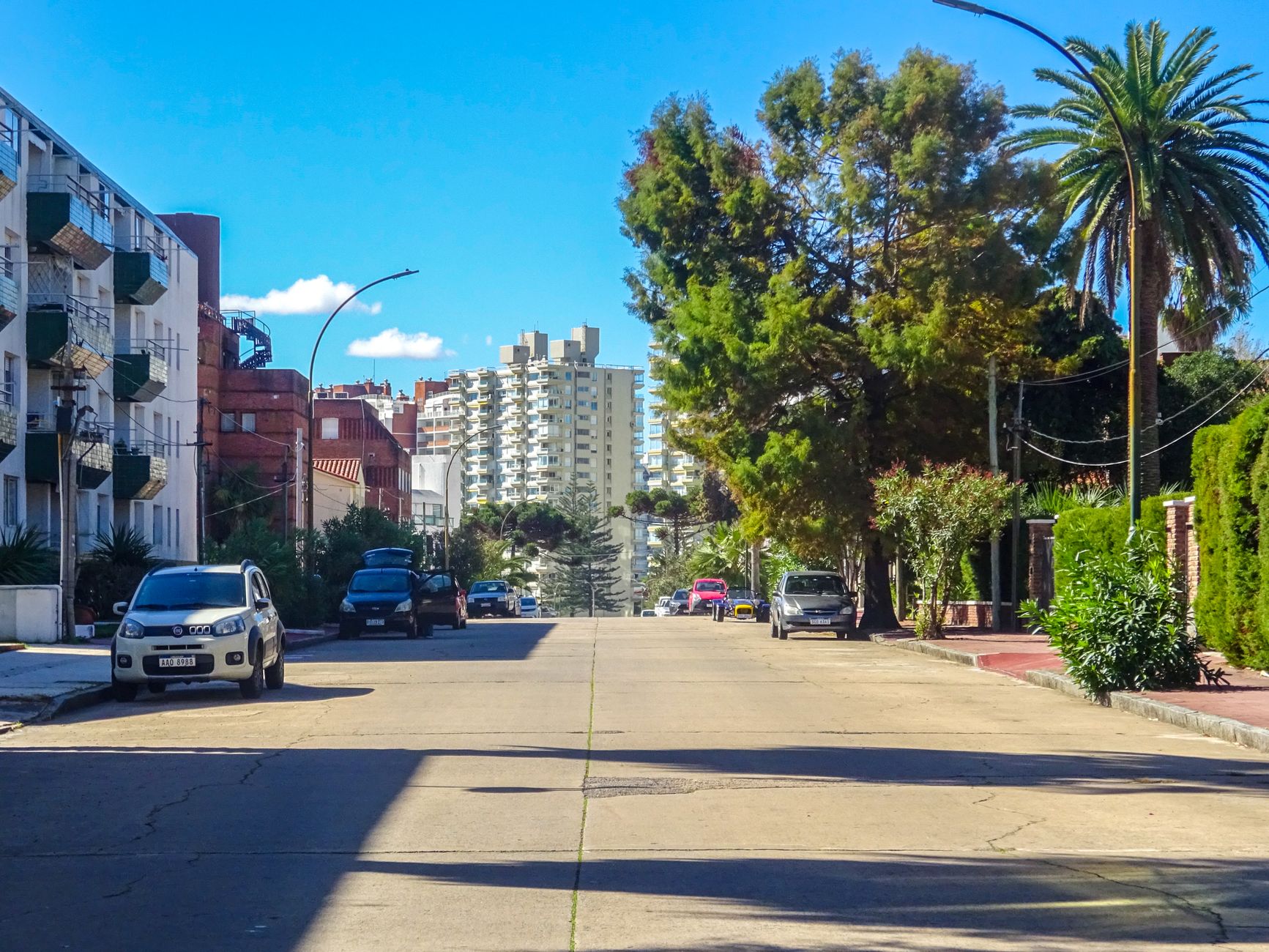 A sunny street view in Punta del Este, Uruguay, featuring parked cars and lush trees.