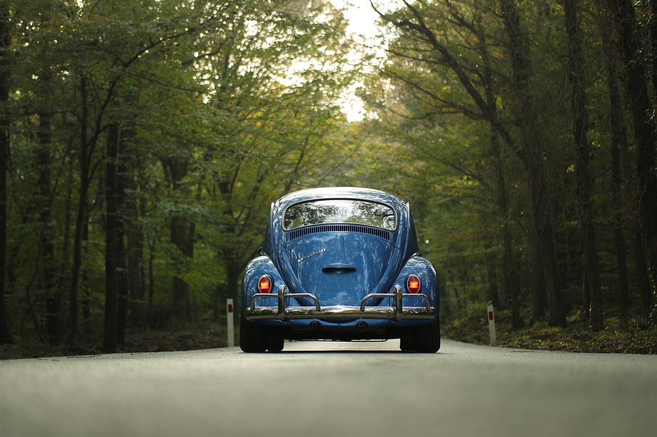 vw, beetle, car, classic car, forest, outdoors, road, car wallpapers, drive, road trip, trip, travel, nature, trees, vehicle, vintage, volkswagen, volkswagen beetle