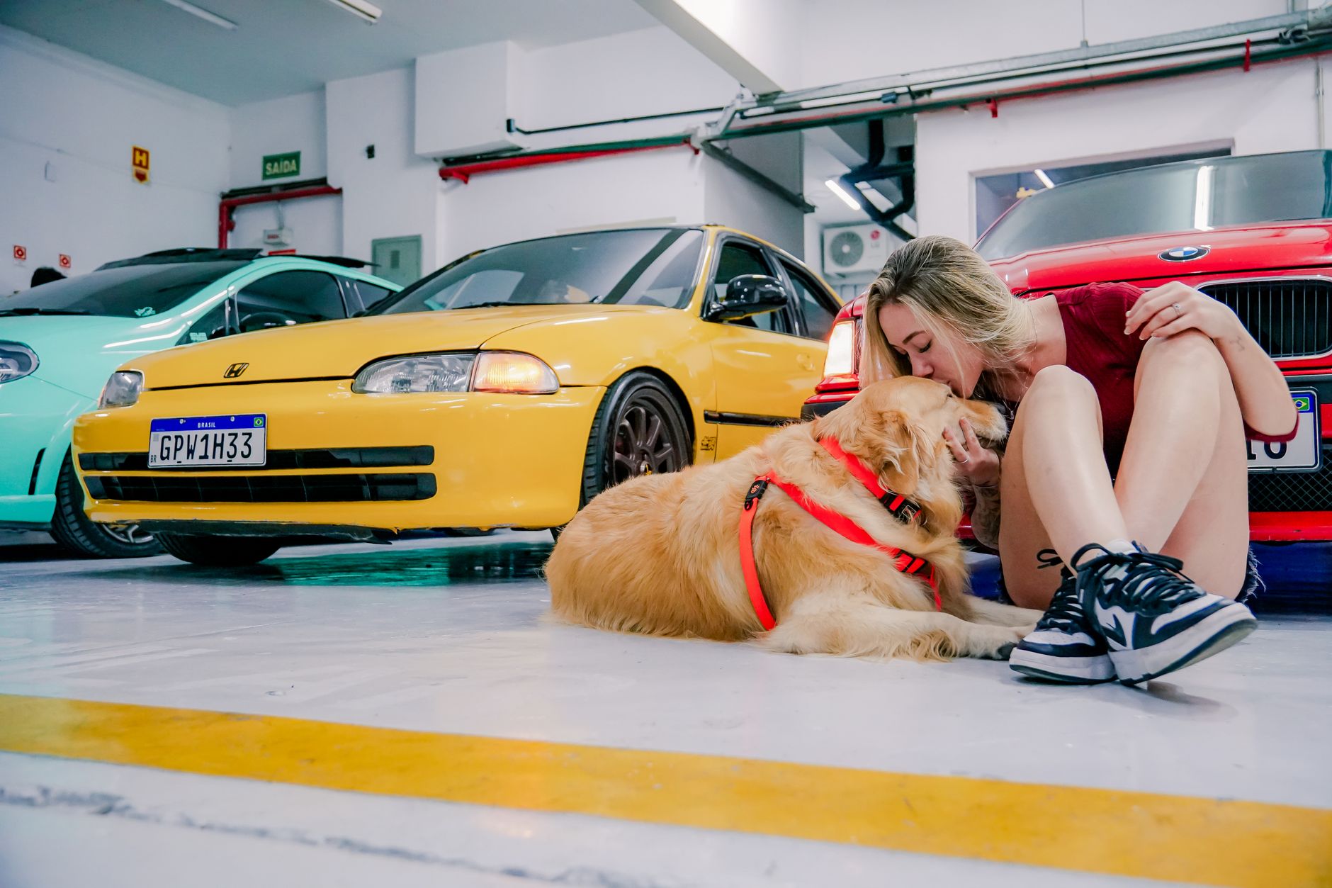 A woman sitting with her Golden Retriever in a garage with vibrant cars.