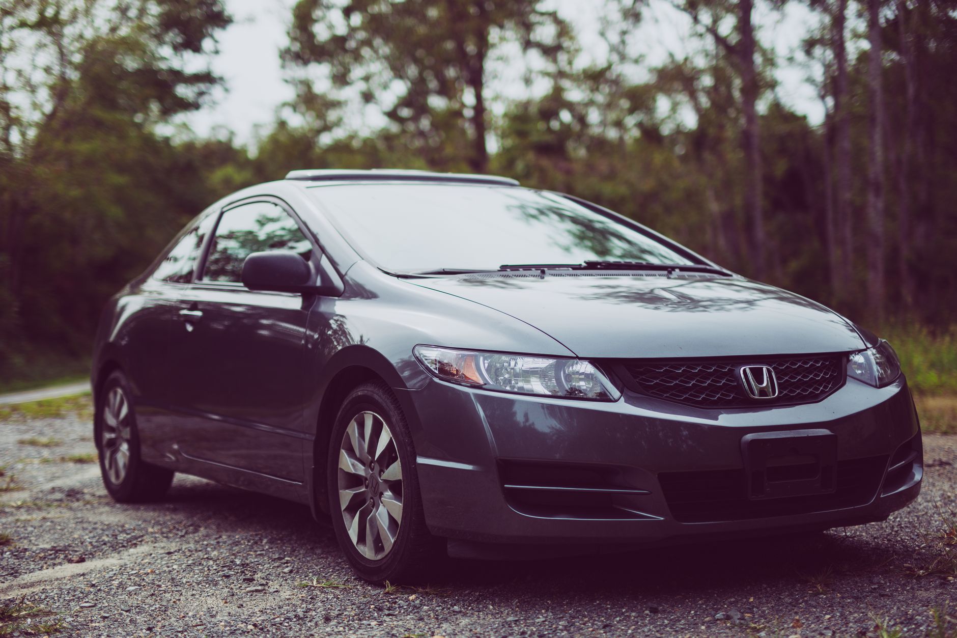A gray Honda Civic parked in a serene outdoor forest setting, showcasing its sleek design.